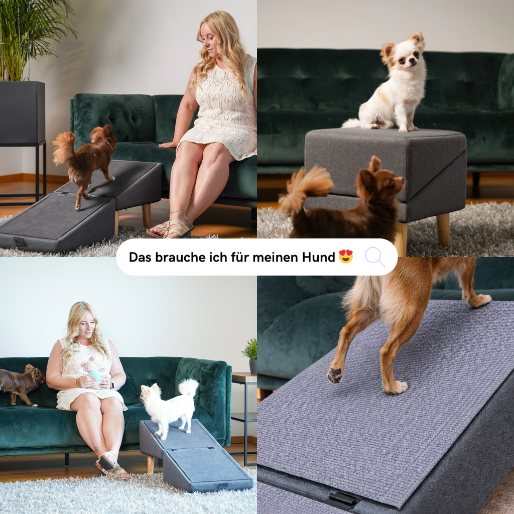 2 in 1 Hundehocker Luna - Gelenkschonende Hunderampe in Grau