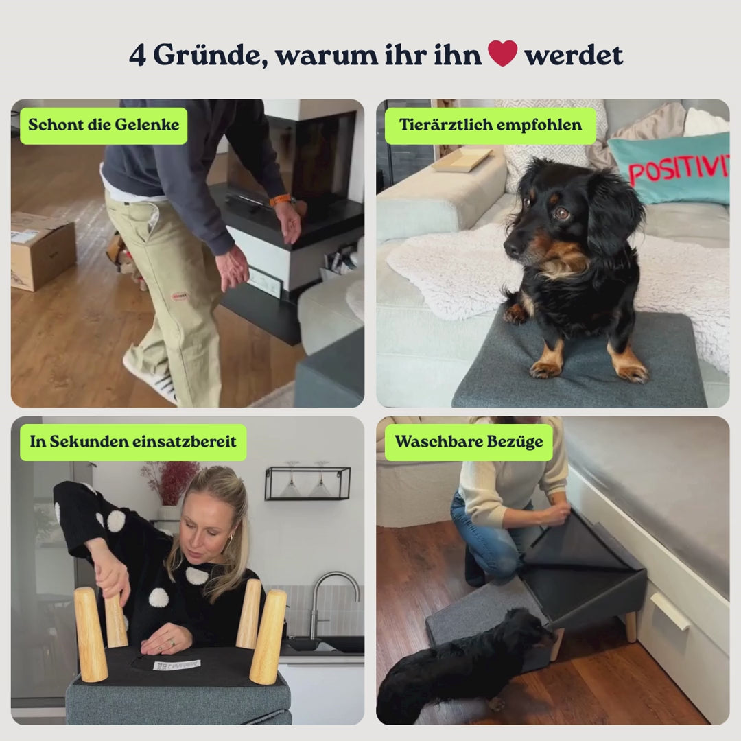 2 in 1 Hundehocker Luna - Gelenkschonende Hunderampe in Grau