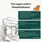 2 in 1 Hundehocker Luna - Gelenkschonende Hunderampe in Grau